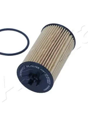 Olejový filtr ASHIKA 10-ECO073 Must-Have