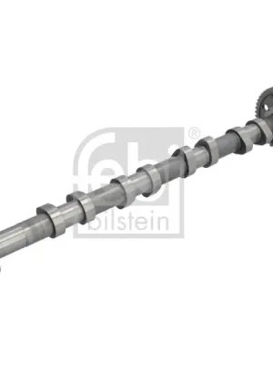 Nízká Cena Vačkový hřídel FEBI BILSTEIN 183365